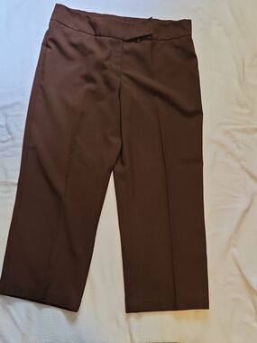 White Stag Women's Brown Solid Dress Pants Flat Front Button Closure Petite